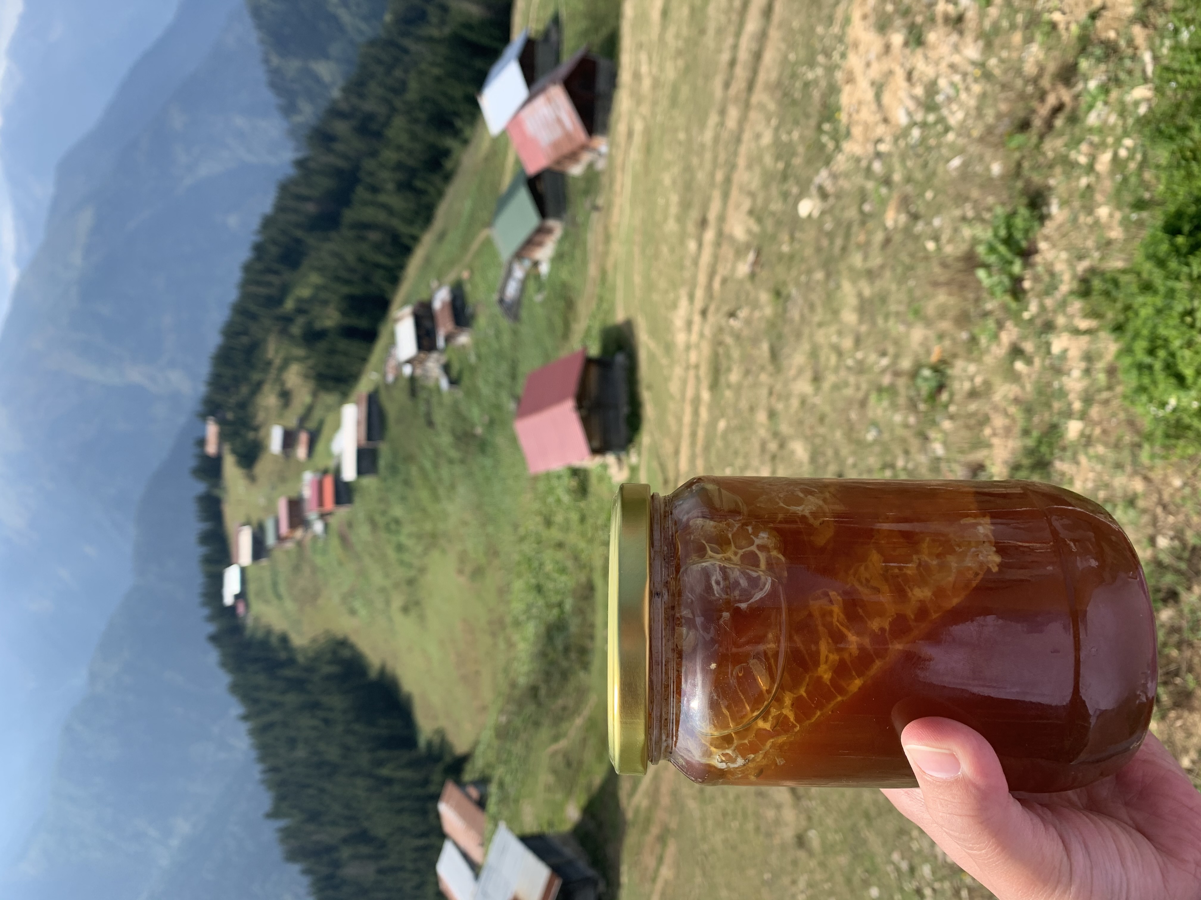 Organik Ballarımızın Sofraya Geliş Hikayesi